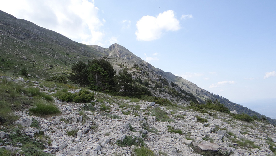 Rocky path above the hut, through sparse grassland with a stand of evergreen trees in the middle distance, and outcrops and peaks on the skyline.