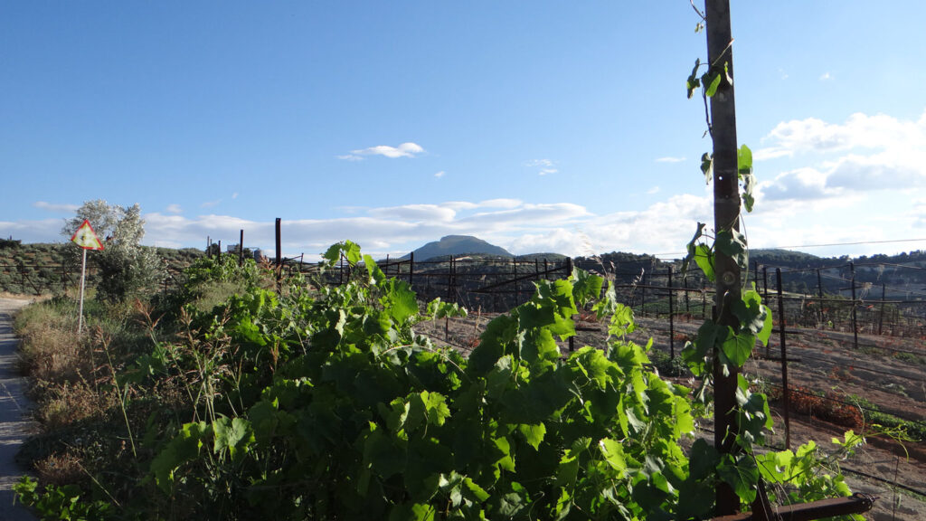 Distant view of the flat top of Mount Apesas.