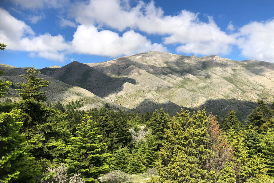 Mount Kyllini with trees