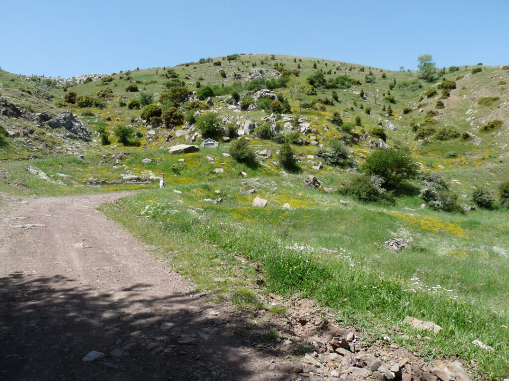 Track with slopes of Mount Lykaion in the background.