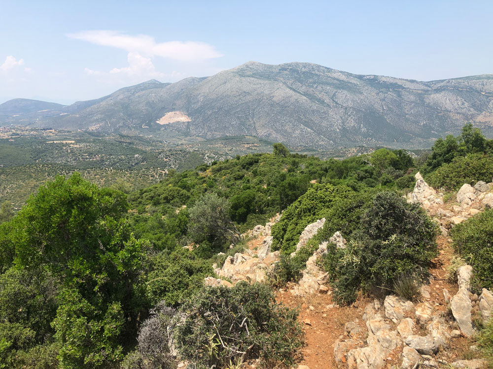 View of mountain ridge in distance, rough mountain slope in foreground with bushes and rocks.