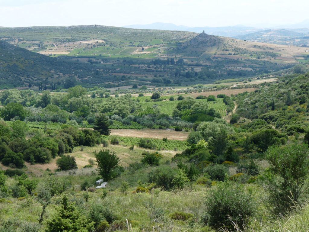 View of Valley of the Muses, with fields and trees, and architectural remains in foreground.