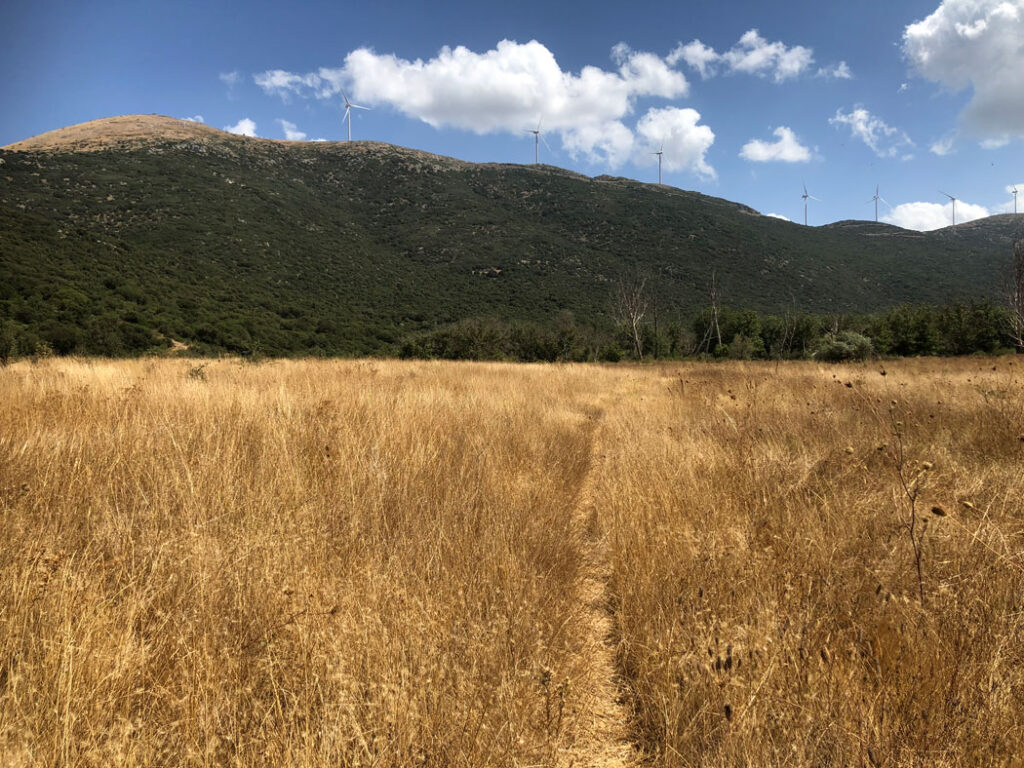 Grassy field in foreground with wooded mountain ridge and wind turbines in background.