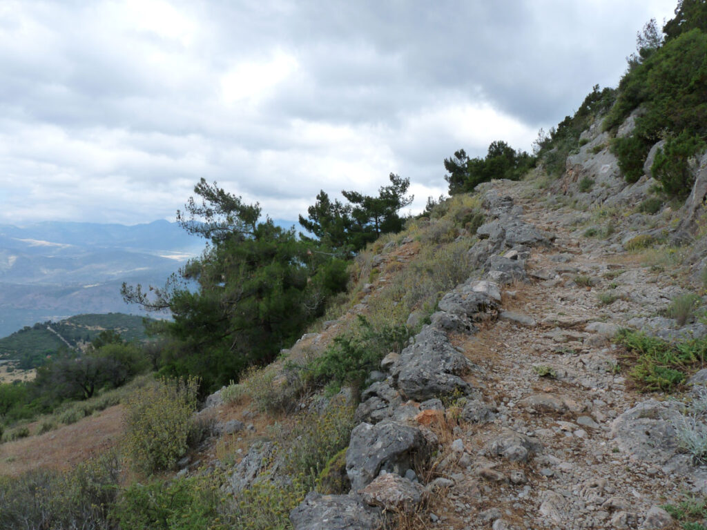 Rocky path sloping upwards with bushes on both sides.
