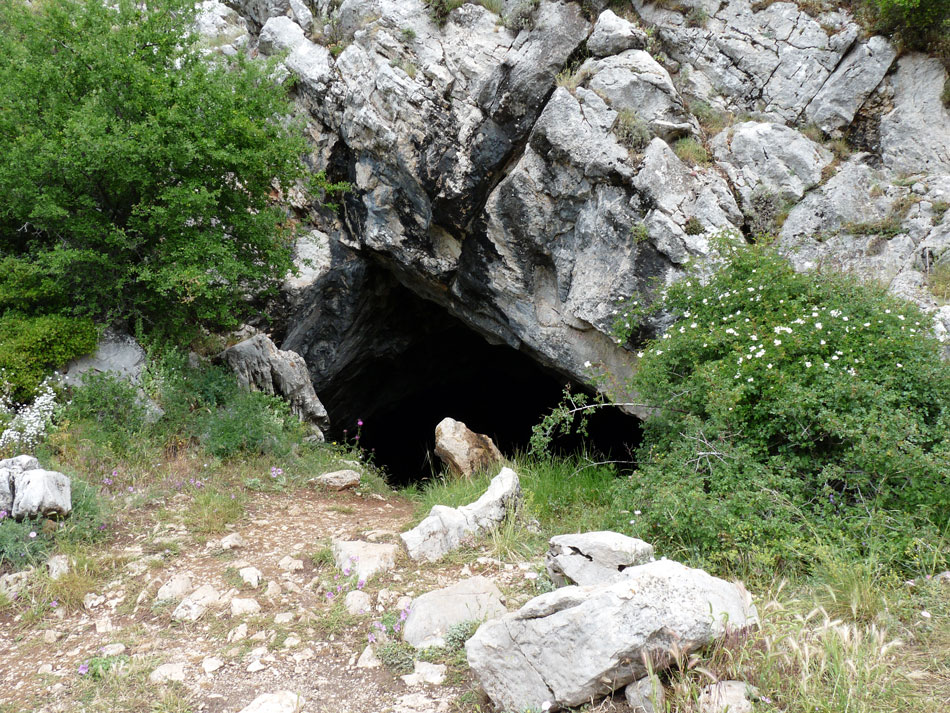Narrow cave entrance surrounded by undergrowth.