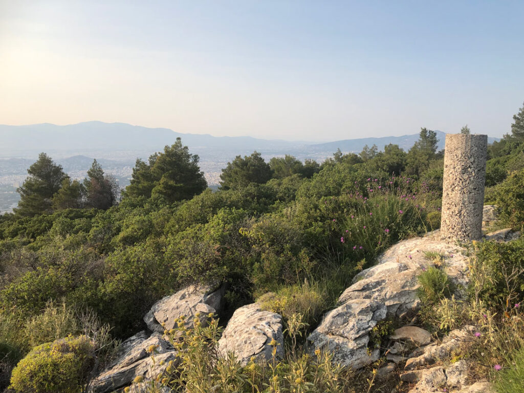 Summit marker with trees behind.