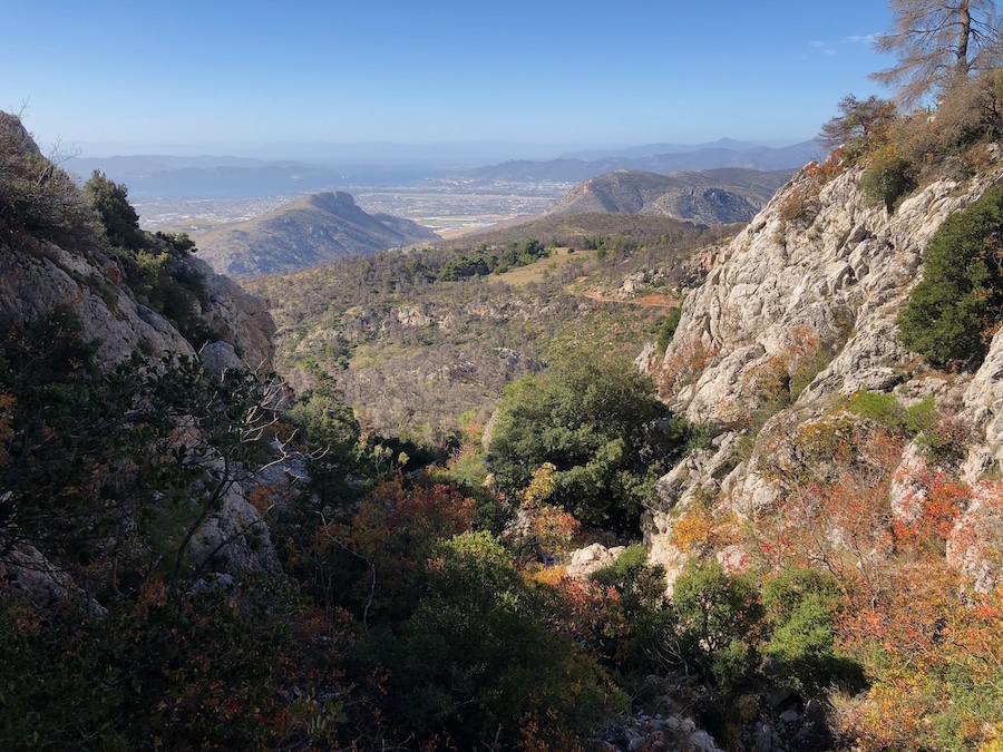 View from the top of an overgrown gully looking down to the plain below.