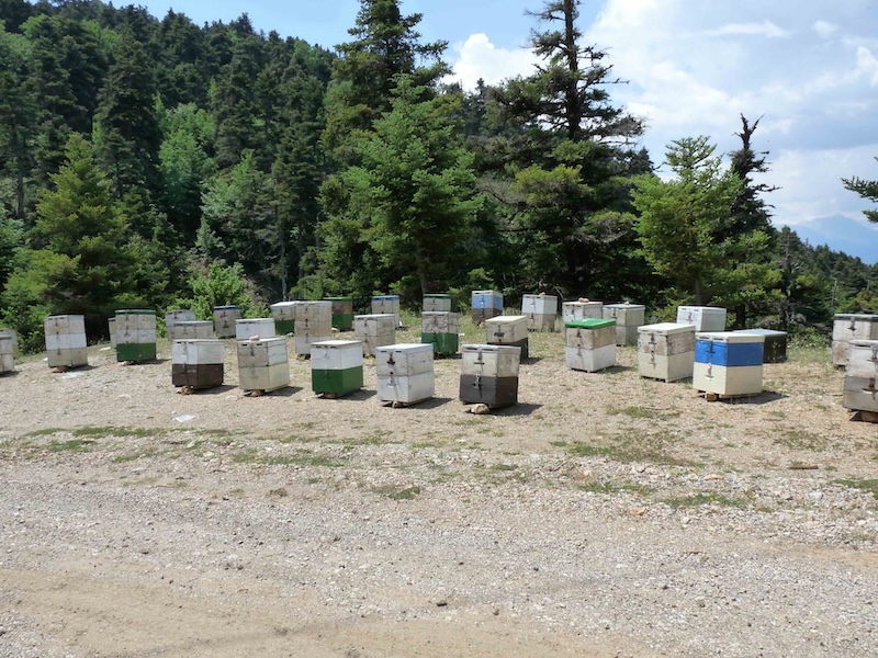 Beehives