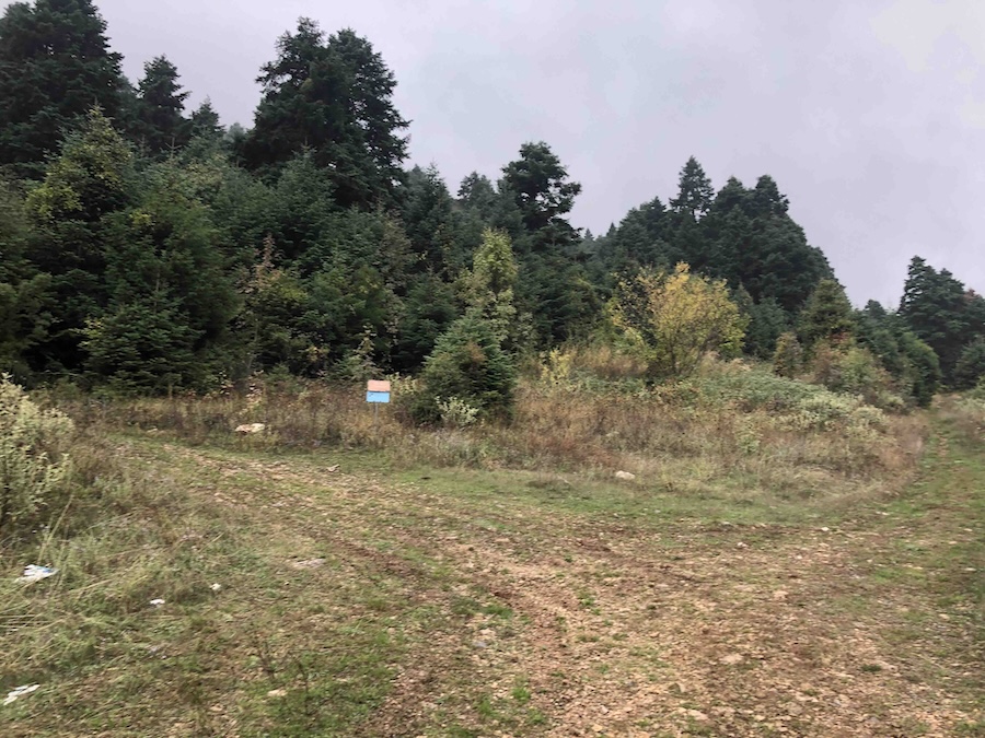 grassy path with signpost