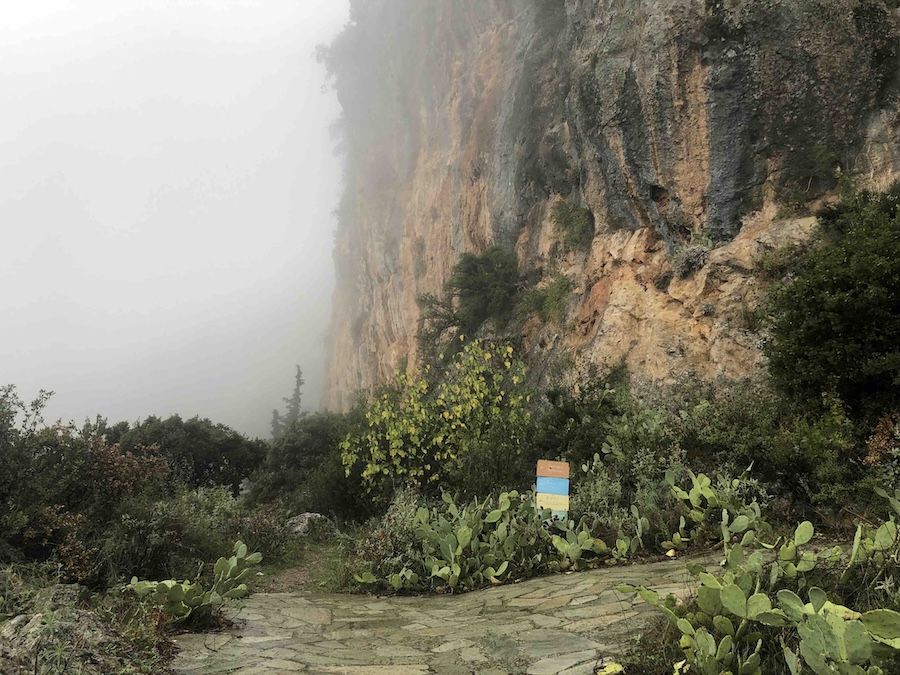 path beneath cliff with mist