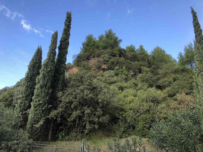 Wooded hill.