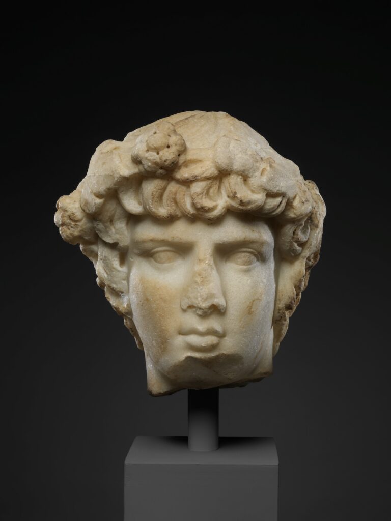 Marble statue head