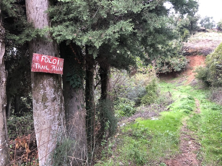 Downhill path with trees on left.