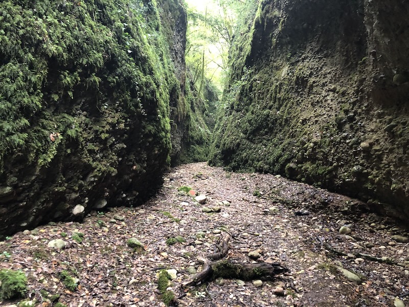 View of narrow. steep-sided gorge from ground level.