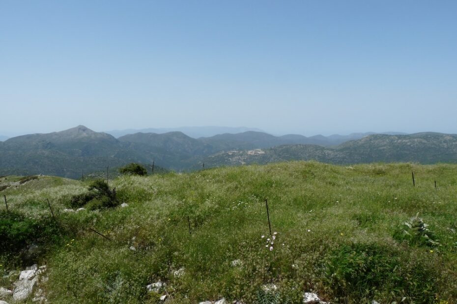 View of grassy slope in foreground and mountains in background.