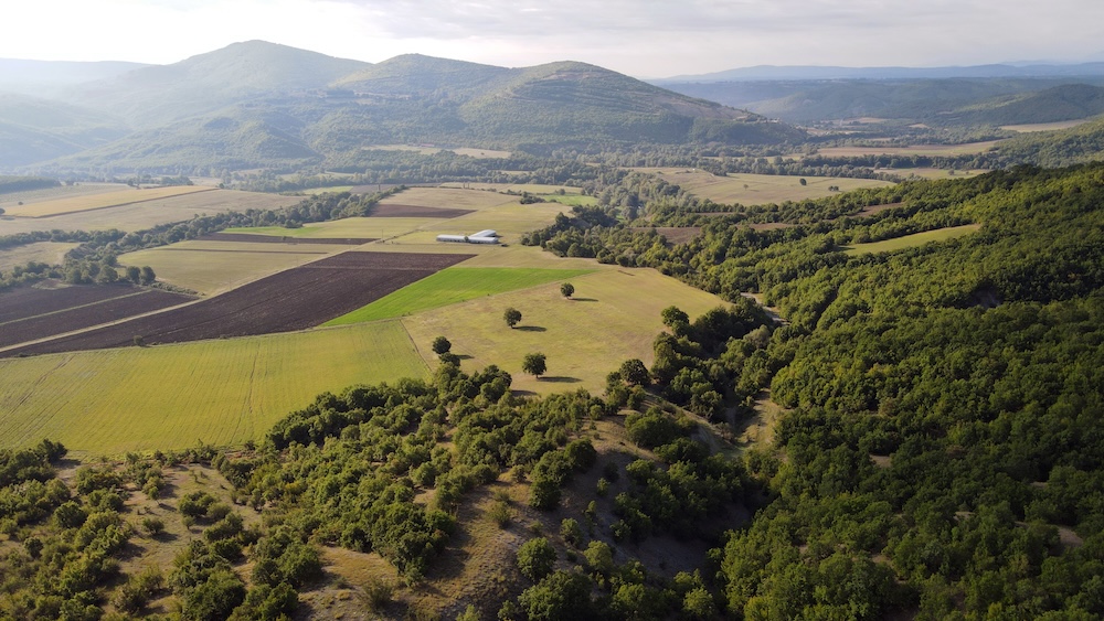 aerial photograph of fields and forest with hills in background.